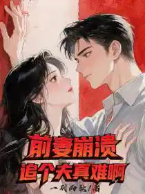 前妻崩溃，追个夫真难啊